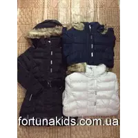 Куртки зимние на меху для девочек SEAGULL 8-16  лет