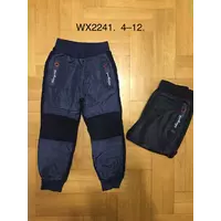 Спортивные брюки утепленные для мальчиков F&D 4-12 лет